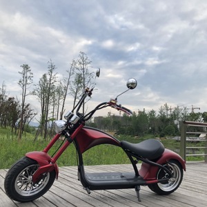 Scooter Eléctrico con Certificación EEC COC Emark, Disponible en Almacén Europeo, Bicicleta de Dos Ruedas Autoequilibrada para Adultos - Product Image 1