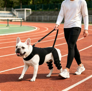 Rodillera Rectangular Ajustable para Perros, Soporte para Lesiones de LCA en Patas Traseras con Tira Reflectante para Uso en Exteriores - Product Image 5