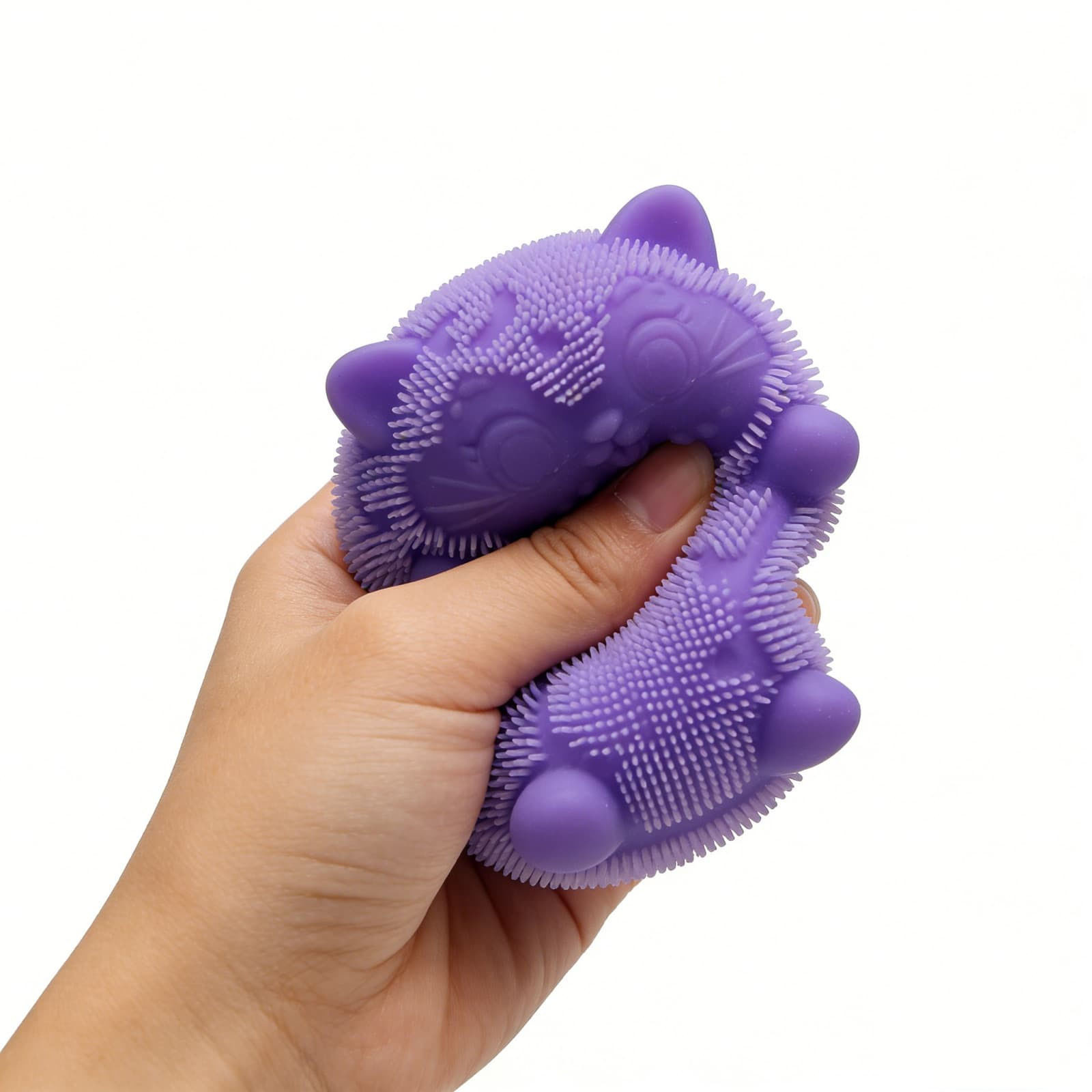 Thème chat, violet, avec emballage.