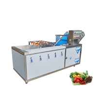 Commerciële roestvrijstalen automatische fruit-, groente- en maïsreinigingsmachine met drievoudige reinigingsproces, hoge druk, sterk.