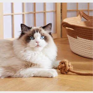 Cama para Gatos Universal para Todas las Estaciones, 100% Algodón Tejido, Ecológica, Diseño Clásico de Dibujos Animados, Cómoda, Portátil y Moderna - Product Image 3