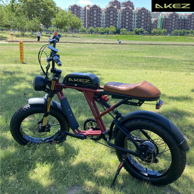 OEM/ODM Private Brand Fat Tire Ebike Big Power 500W 48V Electric Bicycle