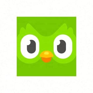 Cuenta Global de Duolingo, Duolingo Premium, Duolingo Super, 1 Año, 1, 3, 6, 12 Meses, Vincula tu Cuenta - Product Image 1