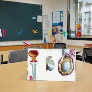 <span class=keywords><strong>Modello</strong></span> di educazione di anatomia genitale maschile <span class=keywords><strong>modello</strong></span> di insegnamento natomico dell'ascienza medica umana <span class=keywords><strong>modello</strong></span> anatomico dell'organo - Product Image 3