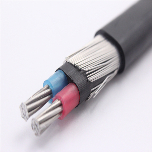 0.6/1kv AA Cables Aluminum Concentric Service Cable Neutral Screen 10mm2 PVC Insulated Electrical Wires for Power Applications