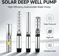 Pompe submersible solaire hybride grande capacité pour puits profond, pompe à eau DC en acier inoxydable de grande taille pour l'irrigation des puits agricoles