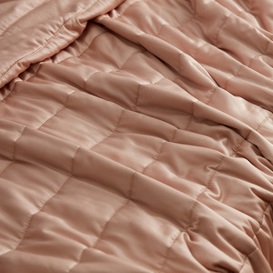 Edredón de Seda 2.1-3 Jin, 100% Seda, Transpirable, Estilo Moderno, para Todas las Estaciones, Edredón para Madre e Hijo - Product Image 3