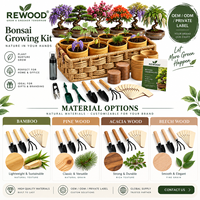 Vente en gros de 40 kits de culture de bonsaï avec outils, pots, graines, panier, étiquette privée OEM