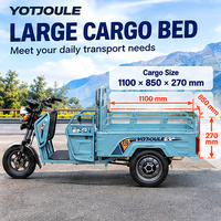 Tricycle électrique de fret 500W, tricycle électrique à trois roues pour adultes, véhicule utilitaire agricole, tricycle de livraison à plateau ouvert