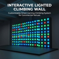 Machine murale interactive en plastique avec éclairage LED pour l'escalade des enfants lors de fêtes et d'événements sportifs et de divertissement en intérieur