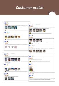 Équipement de jeu doux intérieur non toxique Beilai Murs et toboggans d'escalade pour enfants à plusieurs niveaux pour la maison et la maternelle - Product Image 5