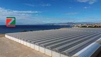 Système de serre en acier multi-tunnels solaires commerciaux pour l'agriculture hydroponique et la culture de légumes