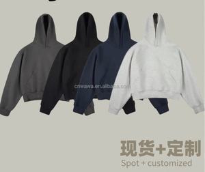 Sweat-shirts à capuche pour hommes de qualité supérieure 100% coton, vêtements de rue, survêtements, sweat-shirts à capuche lourds avec impression en relief - Product Image 4