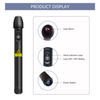 Stylo d'acupuncture laser froid infrarouge de qualité clinique LLLT pour les douleurs dorsales, les douleurs aux épaules et la fibromyalgie