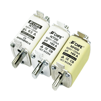Capacité de rupture élevée 32A Lame de cuivre en céramique évaluée NH00 Fusible Matériau en porcelaine Lien de fusible carré