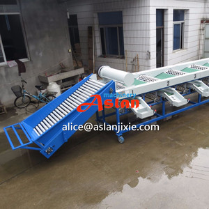 Tự động hành tây phân loại máy đóng gói/con lăn loại hành tây kích thước phân loại máy - Product Image 5