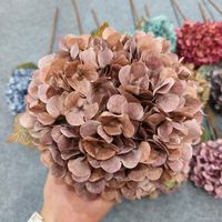 Bouquet de fleurs d'hortensia de haute qualité aux couleurs d'automne et aux bords brûlés pour mariage, décoration d'intérieur et arrangement floral d'automne