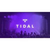 Abonnement Tidal Premium, comptes Tidal Music, abonnement Tidal Hifi Plus 12 mois Yuexing