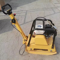 Compacteur à plaque vibrante mini Honda de qualité supérieure, essence/diesel, haute efficacité pour chantier de construction
