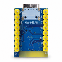 Papan Pengembangan ESP32C3 PRO MINI dengan Modul Chip ESP32-C3FH4 Terpasang, Papan Pengembangan Wi-Fi