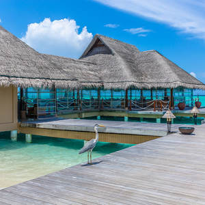 Toiture en chaume artificielle <span class=keywords><strong>de</strong></span> style hawaïen, résine synthétique, brun foncé, anti-UV, imperméable, ignifuge, pare-vent, ombrage pour <span class=keywords><strong>tente</strong></span> - Product Image 5