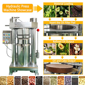 Fábrica al por mayor Aplicaciones versátiles Máquina de aceite prensado en frío Máquina exprimidora de aceite Prensa de aceite hidráulico de aguacate y cacao - Product Image 4