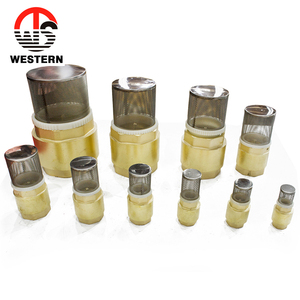 Guter Preis S.S Feder Vertikales Edelstahl filters ieb Rückschlag ventile Messing Wasserpumpe Sieb Boden fuß ventil - Product Image 3