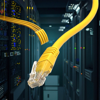 Câble réseau Ethernet RJ45 UTP Cat6 XXD/OEM Patch PVC Conducteur en cuivre massif 8 2m