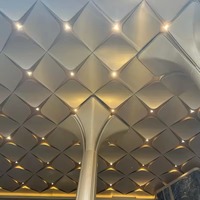 Panneau en aluminium de forme diamantée personnalisé de qualité supérieure pour la décoration des plafonds et des murs des galeries d'art, des hôtels et des halls d'accueil des bureaux