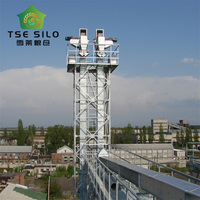 Elevatore a Benna Verticale Motorizzato ad Alta Efficienza con Telaio in Acciaio Zincato, Capacità 5T-150T/H per Silos di Mangimi per Bestiame