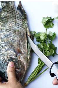 المطبخ في الهواء الطلق منتجات الصيد الأخرى اليابانية ساشيمي سمك فيليه سكين مع غمد البلاستيك - Product Image 3