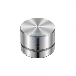 Punteria Valvola Motore TP95 per <span class=keywords><strong>ALFA</strong></span> <span class=keywords><strong>ROMEO</strong></span> FIAT LANCIA GM ROVER 202280 46787055 73503122 LGR10002 LGR100100 LGR100100L - Product Image 2