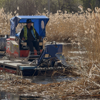 Machine de tonte amphibie multifonctionnelle pour les opérations de contrôle des herbes aquatiques dans les zones humides lacustres.
