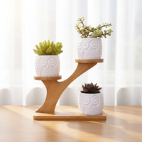 Jolies jardinières en céramique émaillée en forme de hibou et de patte de chat pour plantes succulentes, avec support minimaliste à 3 niveaux en bambou pour la maison, le bureau et le jardin