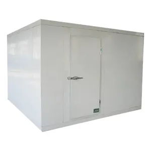 Kühlraum mit 3 PS Copeland Kompressor Kühlschrank Gefrier schrank für gefrorenes Huhn