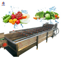 Fruitwas-En Sorteermachine Voor Bladgroente Wasmachine-En Droogmachine Voor Het Wassen Van De Groenten