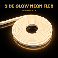 Bande LED néon en silicone souple et flexible pour usage professionnel, CRI 90 élevé, DC24V, éclairage créatif, décoration personnalisée, étanche IP67, BIS CE