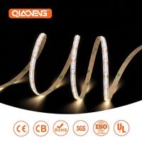 Bande LED OEM 12V 2025 288 LED/m 8mm 3000K Blanc Chaud Ra80 IP20 Télécommande Dimmable Longueur Personnalisée Rouleau de 5m