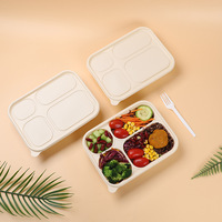 Boîte à lunch jetable écologique personnalisée, compatible micro-ondes, avec couvercle