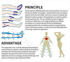 Máquina de drenaje linfático <span class=keywords><strong>facial</strong></span> portátil médico profesional Dispositivo de drenaje linfático rodante de cuerpo completo piernas y estómago - Product Image 5