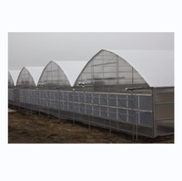 Woestijn Groentekas Voor Tomaat Komkommer Sla Aardbei Polycarbonaat Kas Voor Groenten