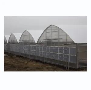 Rumah kaca sayuran gurun untuk tomat mentimun stroberi rumah kaca polikarbonat untuk sayuran