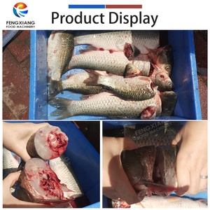 เครื่องตัดหัวปลาสดแบบต่อเนื่อง สำหรับปลาทูน่า ปลาค็อด ปลากะพง ปลานิล - Product Image 5