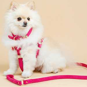 Correa para Perro de Gamuza Genuina Hecha a Mano en Italia, Color Rosa - Product Image 2