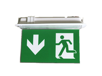 Luz de Señalización de Salida de Emergencia LED Recargable, Blanca Fría, para Seguridad contra Incendios, Empotrada en el Techo