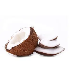 畅销农业天然椰子干椰子供应商定制包装散装价格从越南制造