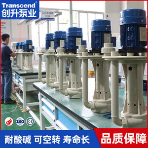 Transcend Cs Vertical Chemical <b>Pump</b> Electric Centrifugal Flange Connection Single <b>Suction</b> Side Standing For Acid Alkali - Product Image 2