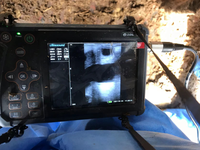 Escáner de Ultrasonido Veterinario Portátil Profesional EURVET para Perros, Ovejas, Cabras y Pequeños Rumiantes