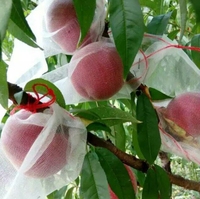 HDPE materiaal gebreide structuur fruitbeschermingsnetzak voor boomgaarden