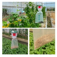 Piège à phéromones réutilisable en plastique pour le contrôle des mites et des chenilles, attrape-insectes suspendu pour ferme, jardin et pelouse
